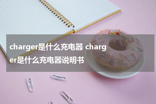 charger是什么充电器 charger是什么充电器说明书