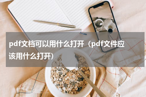 pdf文档可以用什么打开（pdf文件应该用什么打开）