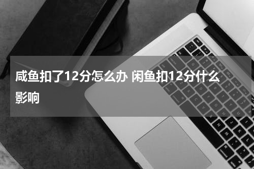 咸鱼扣了12分怎么办 闲鱼扣12分什么影响