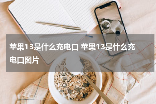 苹果13是什么充电口 苹果13是什么充电口图片