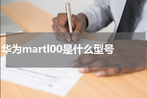 华为martl00是什么型号