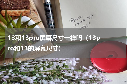 13和13pro屏幕尺寸一样吗（13pro和13的屏幕尺寸）