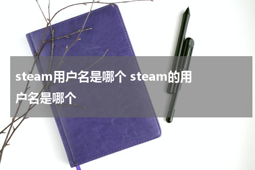 steam用户名是哪个 steam的用户名是哪个