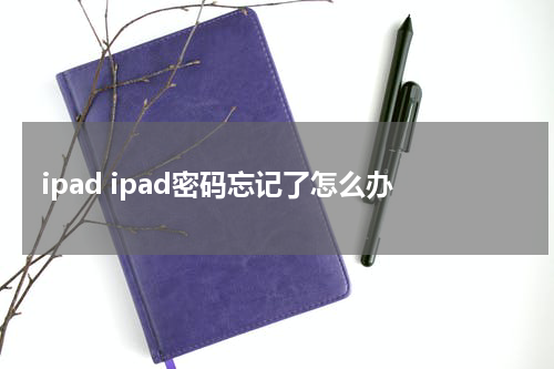 ipad ipad密码忘记了怎么办