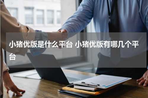 小猪优版是什么平台 小猪优版有哪几个平台
