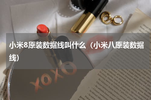 小米8原装数据线叫什么（小米八原装数据线）