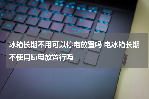 冰箱长期不用可以停电放置吗 电冰箱长期不使用断电放置行吗