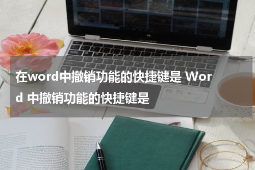 在word中撤销功能的快捷键是 Word 中撤销功能的快捷键是