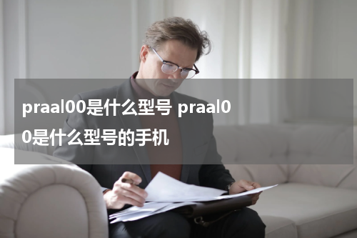praal00是什么型号 praal00是什么型号的手机
