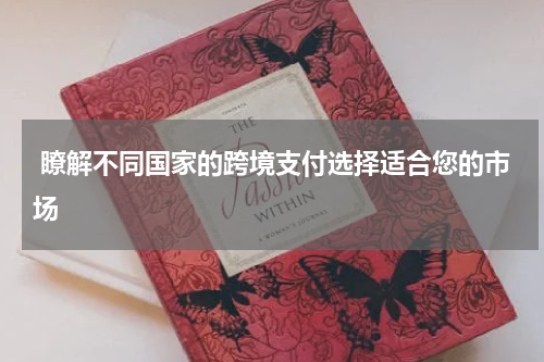  瞭解不同国家的跨境支付选择适合您的市场