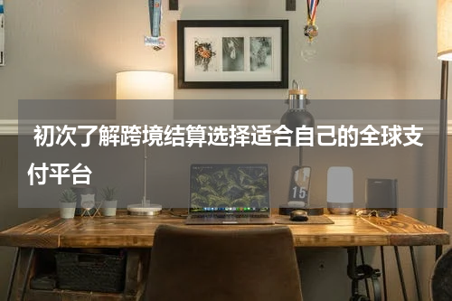  初次了解跨境结算选择适合自己的全球支付平台