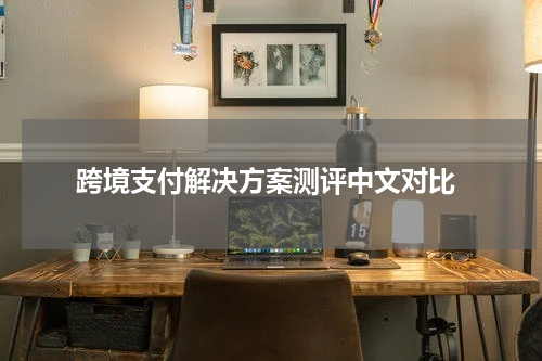  跨境支付解决方案测评中文对比