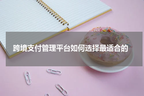  跨境支付管理平台如何选择最适合的