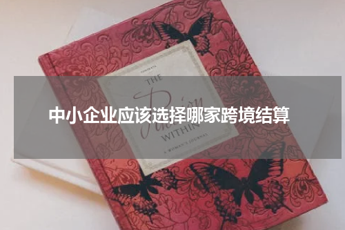  跨境支付解决方案比较不同跨境结算