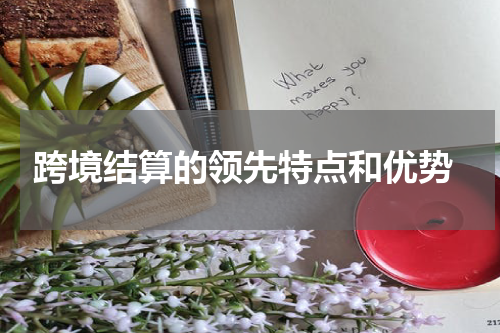  跨境结算的领先特点和优势