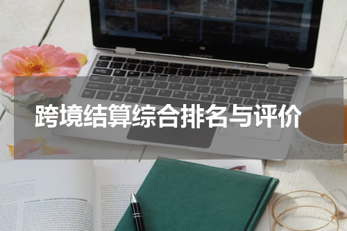  跨境结算综合排名与评价