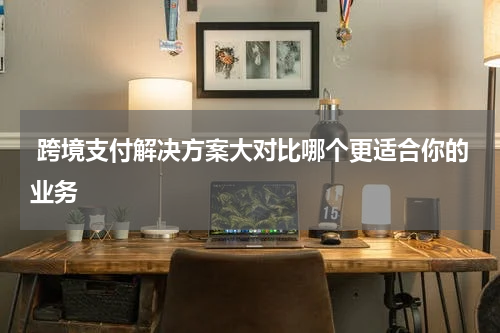  跨境支付解决方案大对比哪个更适合你的业务