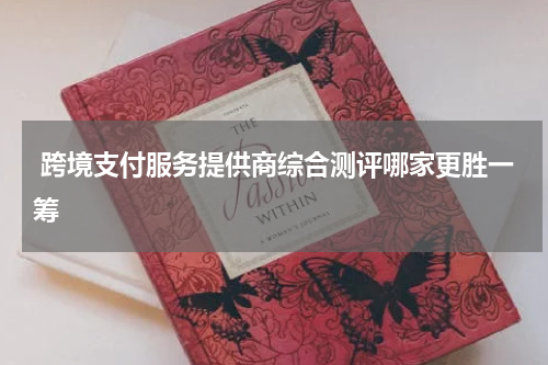  跨境支付服务提供商综合测评哪家更胜一筹