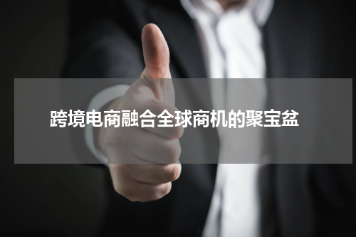 跨境电商融合全球商机的聚宝盆