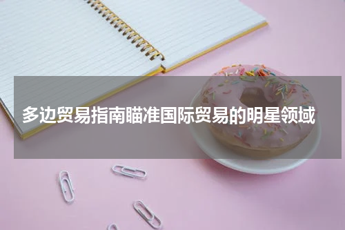  多边贸易指南瞄准国际贸易的明星领域