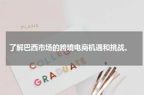  了解巴西市场的跨境电商机遇和挑战。