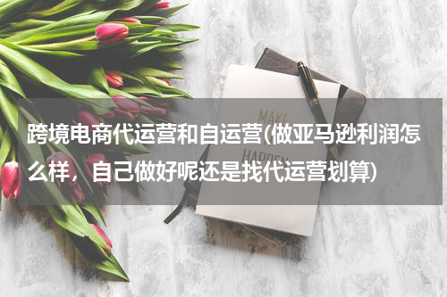 跨境电商代运营和自运营(做亚马逊利润怎么样，自己做好呢还是找代运营划算)