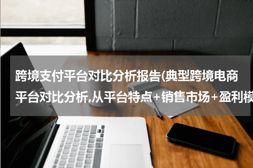 跨境支付平台对比分析报告(典型跨境电商平台对比分析,从平台特点+销售市场+盈利模式+发展前景等几方？)
