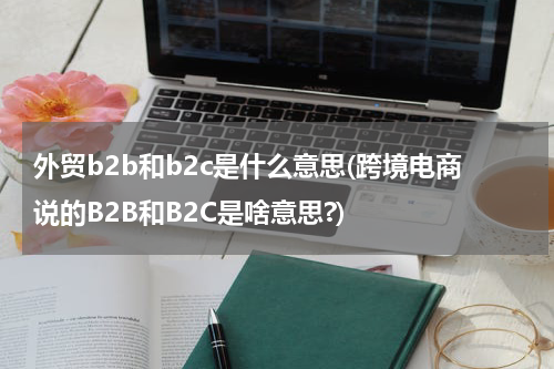 外贸b2b和b2c是什么意思(跨境电商说的B2B和B2C是啥意思?)