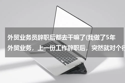 外贸业务员辞职后都去干嘛了(我做了5年外贸业务，上一份工作辞职后，突然就对个行业尤其的厌烦，打算去麦当劳做见)