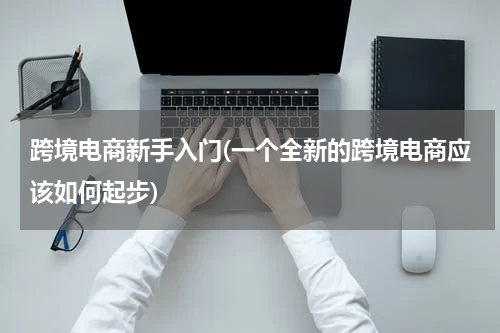 跨境电商新手入门(一个全新的跨境电商应该如何起步)