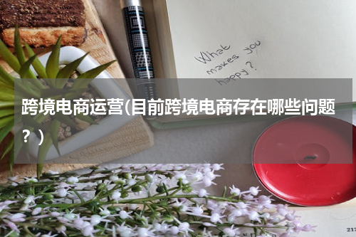 跨境电商运营(目前跨境电商存在哪些问题？)