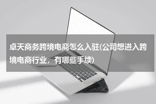 卓天商务跨境电商怎么入驻(公司想进入跨境电商行业，有哪些手续)