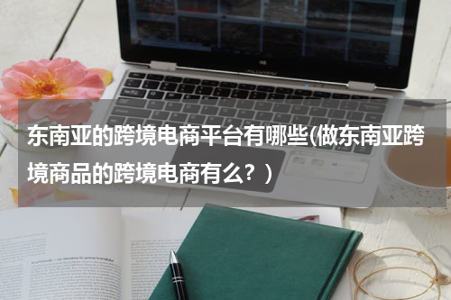 东南亚的跨境电商平台有哪些(做东南亚跨境商品的跨境电商有么？)