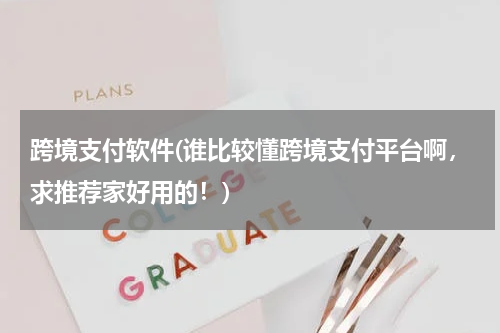跨境支付软件(谁比较懂跨境支付平台啊，求推荐家好用的！)