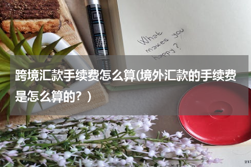 跨境汇款手续费怎么算(境外汇款的手续费是怎么算的？)