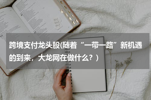 跨境支付龙头股(随着“一带一路”新机遇的到来，大龙网在做什么？)