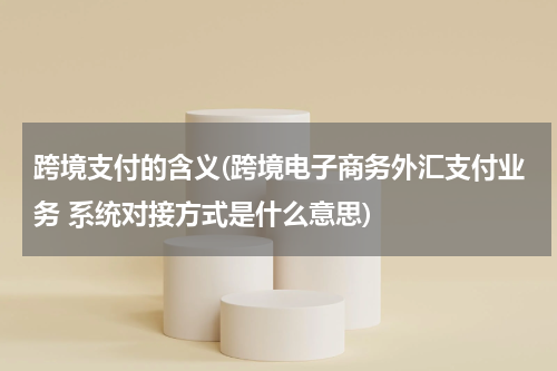 跨境支付的含义(跨境电子商务外汇支付业务 系统对接方式是什么意思)