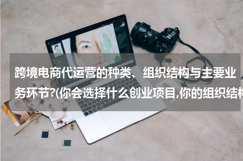 跨境电商代运营的种类、组织结构与主要业务环节?(你会选择什么创业项目,你的组织结构类型是怎样的,)