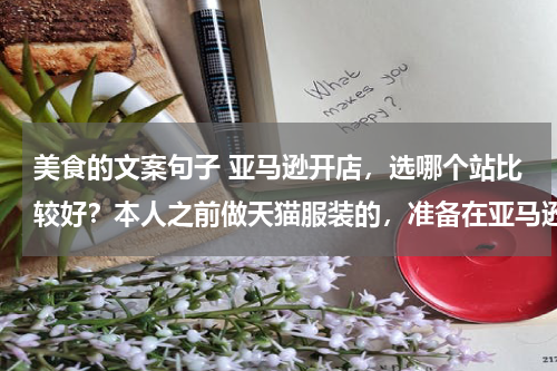 美食的文案句子 亚马逊开店，选哪个站比较好？本人之前做天猫服装的，准备在亚马逊高中高端服饰？