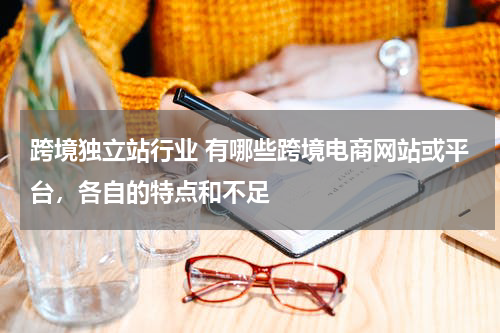 跨境独立站行业 有哪些跨境电商网站或平台，各自的特点和不足