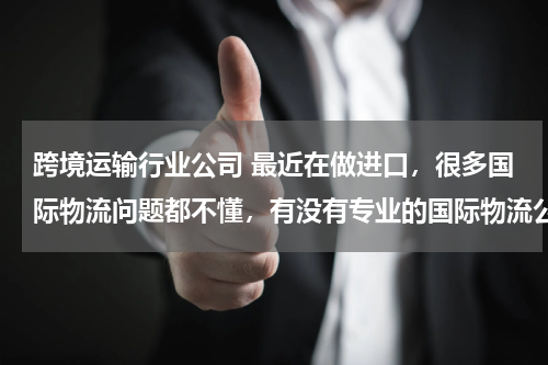 跨境运输行业公司 最近在做进口，很多国际物流问题都不懂，有没有专业的国际物流公司介绍？